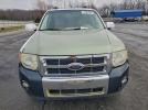 Ford Escape Limited Image 6