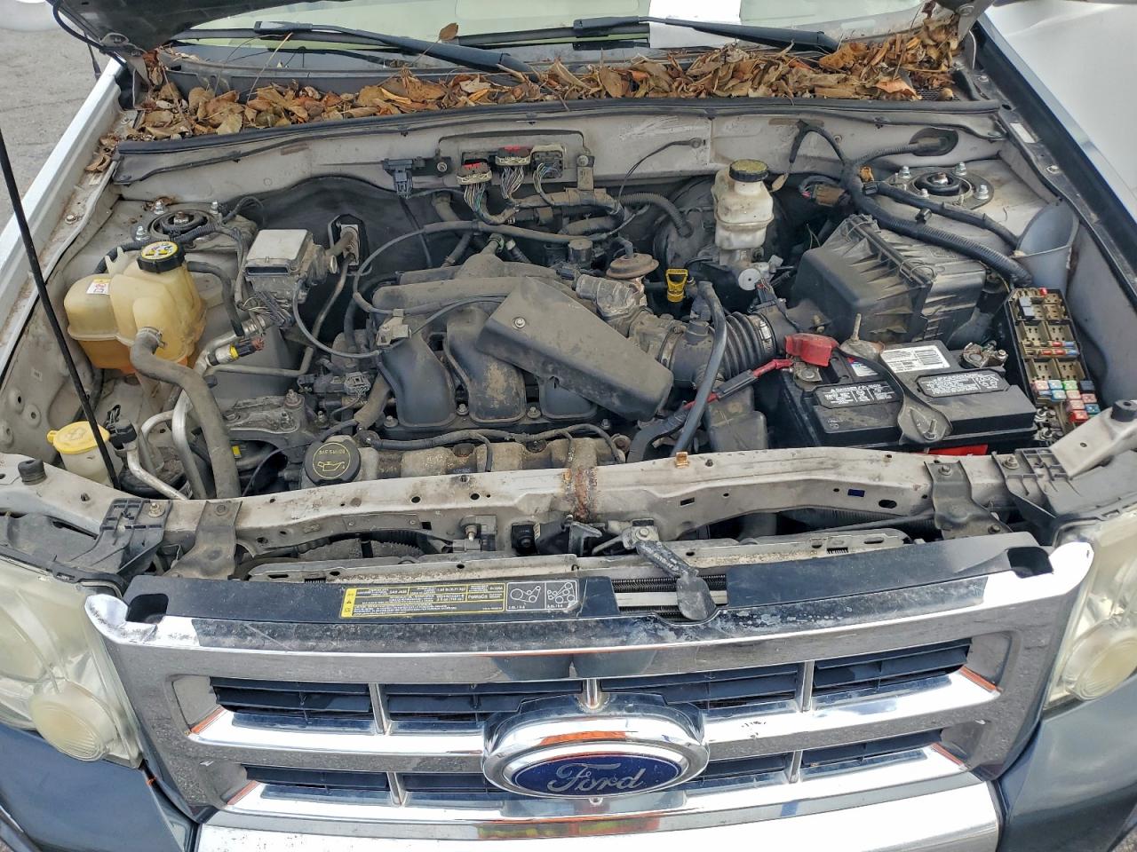 Ford Escape Limited Image 9