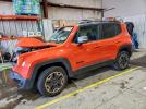Jeep Renegade Trailhawk Image 1
