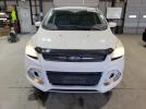 Ford Escape Se Image 3