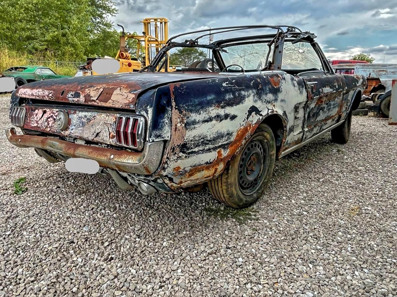 Ford Mustang Image 2