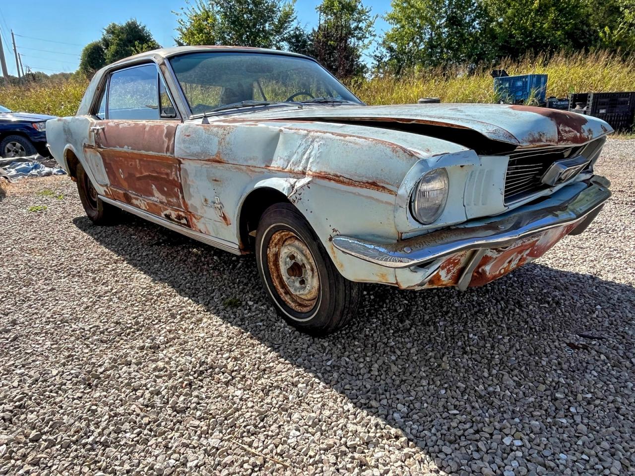 Ford Mustang Image 1