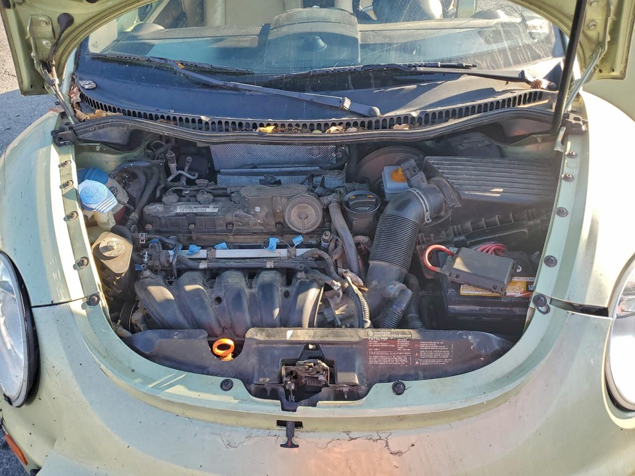 Volkswagen Beetle Convertible Se Image 8